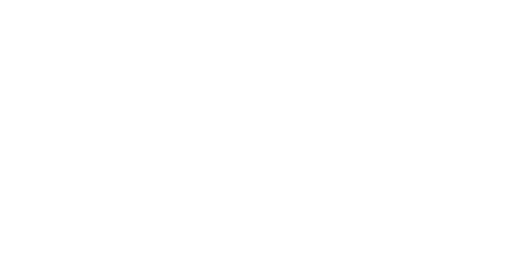 Wasak Inc
